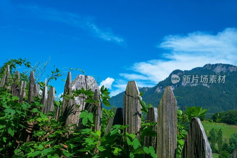 Kastelruth Dolomites的风景